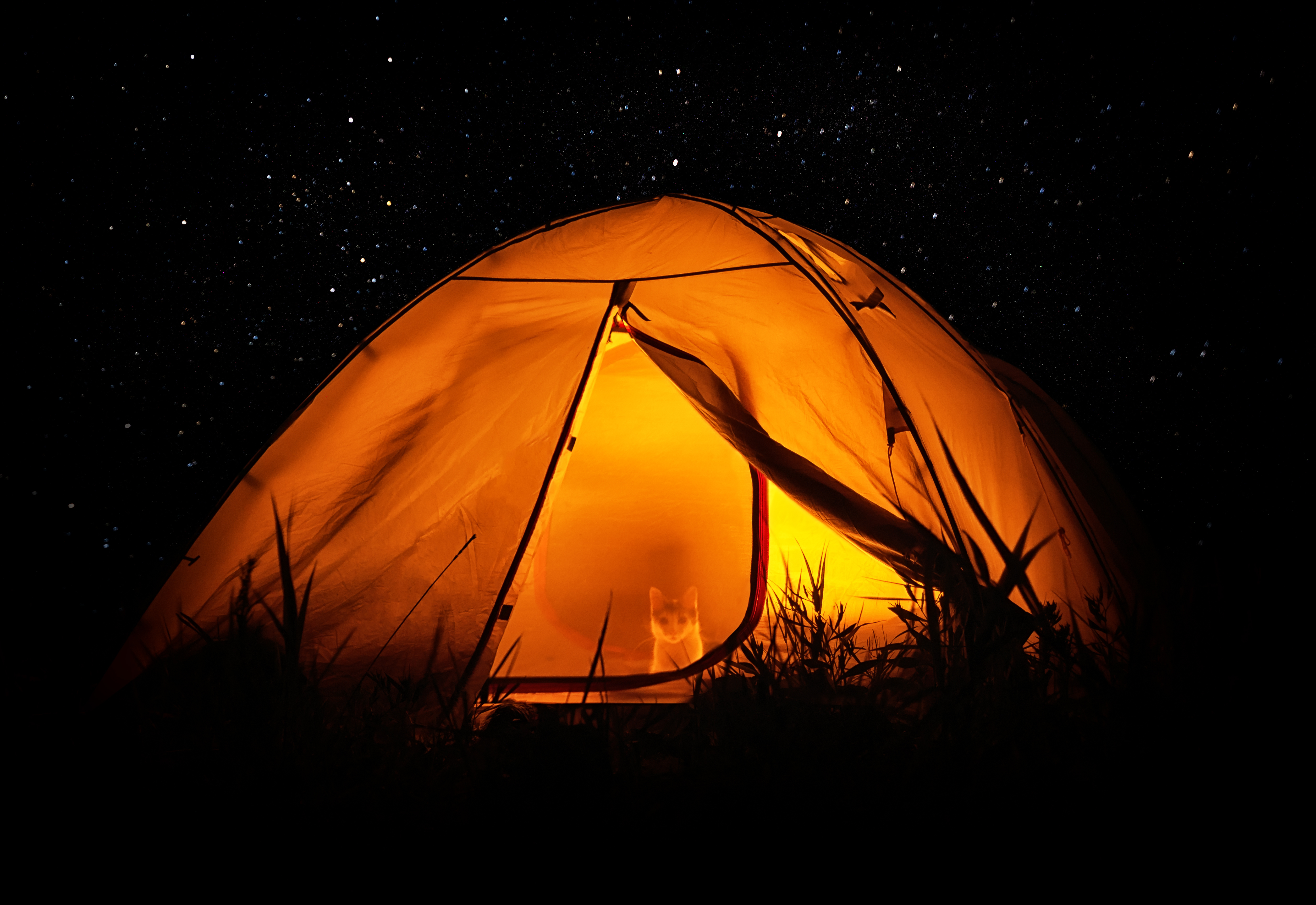 ✓Lantern: Best Camping Lantern (Buying Guide) 